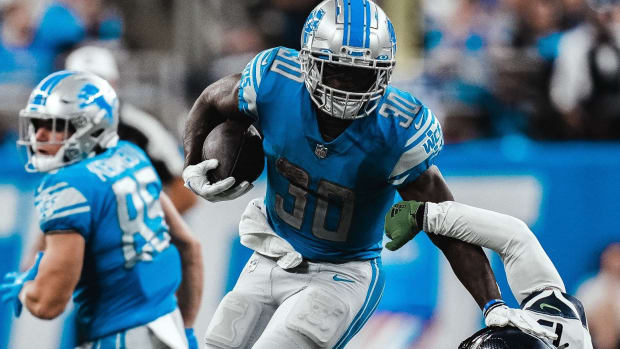 lions sea